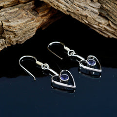 Audrey Blue Dangle Earrings with Heart Design