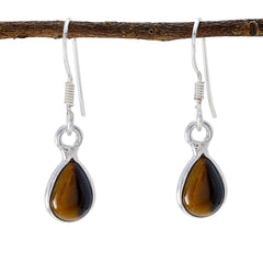 Pilar Brown Minimalist Dangle Earrings for Everyday Wear Tiger Eye Brown Dangle