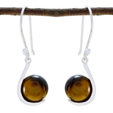 Aisha Brown Solitaire Dangle Earrings for Everyday Glam Tiger Eye Brown Dangle