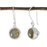Camila Grey Dangle Earrings for Everyday Elegance Labradorite Gray Dangle