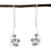 Camila Grey Dangle Earrings for Everyday Elegance Labradorite Gray Dangle