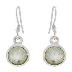 Chen Green Solitaire Earrings for Every Occasion Prehnite Green Dangle