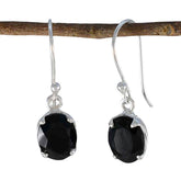 Tereza Delicate Gemstone Earrings India for Everyday Glam Black Onyx Black Dangle
