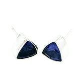 Ellie Elegant Blue Stud Earrings for Everyday Glam Iolite Blue Stud