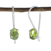 Penelope Green Gemstone Dangle Earrings for Glam Peridot Green Dangle