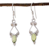 Gabriela Green Gemstone Dangle Earrings for Everyday Glam Peridot Green Dangle