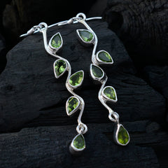 Paula Green Gemstone Dangle Earrings for Every Occasion