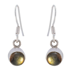 Ha-eun Grey Dangle Earrings for Everyday Glamour Labradorite Gray Dangle
