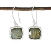 Clara Grey Solitaire Dangle Earrings for Chic Style Labradorite Gray Dangle
