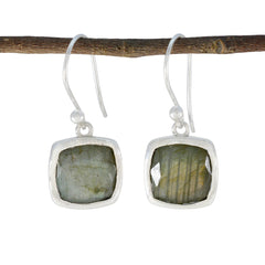 Clara Grey Solitaire Dangle Earrings for Chic Style Labradorite Gray Dangle