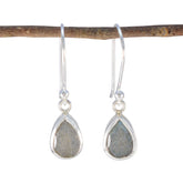 Eun-ji Grey Solitaire Dangle Earrings for Every Occasion Labradorite Gray Dangle