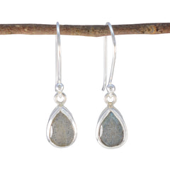 Eun-ji Grey Solitaire Dangle Earrings for Every Occasion Labradorite Gray Dangle