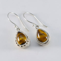 Hana Brown Dangle Earrings with Tiger's Eye Stone