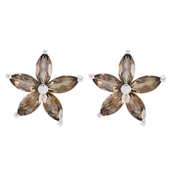 Lucia Brown Stud Earrings with Sparkling Gemstones