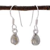 Skylar Minimalist Dangle Earrings with Gemstone Accent Labradorite Gray Dangle