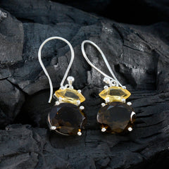 Emi Multicolor Dangle Earrings for Everyday Glam