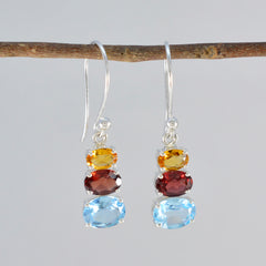 Aiko Multicolor Dangle Earrings for Everyday Glam