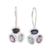 Rosa Multicolor Dangle Earrings for Everyday Glam Multi multicolor Dangle