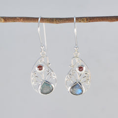 Giulia Multicolor Dangle Earrings for Every Occasion