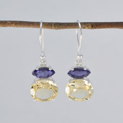 Jiwoo Multicolor Dangle Earrings for Vibrant Style