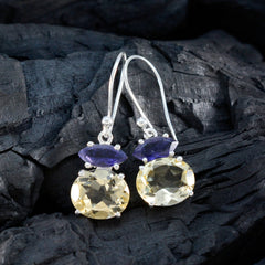 Jiwoo Multicolor Dangle Earrings for Vibrant Style