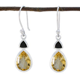 Clara Multicolor Dangle Earrings for Everyday Glam Multi multicolor Dangle