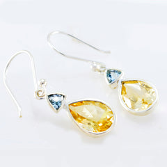 Eleanor Multicolor Dangle Earrings for Everyday Glam