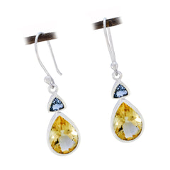 Eleanor Multicolor Dangle Earrings for Everyday Glam