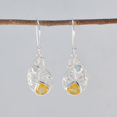 Emily Multicolor Dangle Earrings with Gemstone Detail