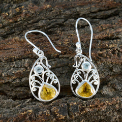 Emily Multicolor Dangle Earrings with Gemstone Detail