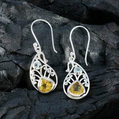 Emily Multicolor Dangle Earrings with Gemstone Detail