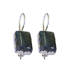 Zoe Party Wear Earrings for Women - Elegant Design Labradorite Gray Dangle