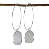 Paula White Dangle Earrings for Elegant Style Rainbow Moonstone White Dangle