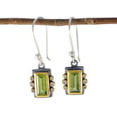 Amanda Green Dangle Earrings with Gemstone Detailing Peridot Green Dangle