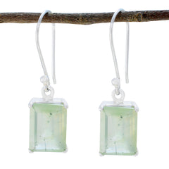 Eun-ji Green Solitaire Dangle Earrings for Every Occasion Prehnite Green Dangle