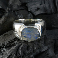 Priya Modern Grey Solitaire Ring with Labradorite Stone