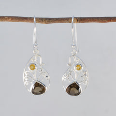 Evelyn Multicolor Dangle Earrings with Gemstone Design