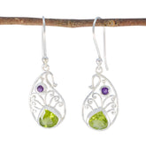 Emma Multicolor Dangle Earrings with Elegant Design Multi multicolor Dangle