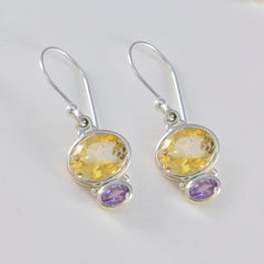 Fernanda Multicolor Dangle Earrings for Every Occasion