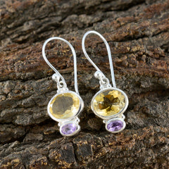 Fernanda Multicolor Dangle Earrings for Every Occasion