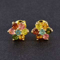 Dewi Multicolor Stud Earrings for Everyday Glam