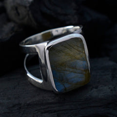 Nayara Signet Grey Ring with Unique Labradorite Stone