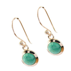 Pauline Turquoise Solitaire Dangle Earrings for Glam