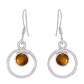 Sara Brown Dangle Earrings with Elegant Design Tiger Eye Brown Dangle