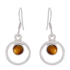 Sara Brown Dangle Earrings with Elegant Design Tiger Eye Brown Dangle