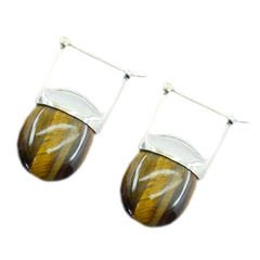 Aaliyah Tiger Eye Stone Earrings for Everyday Glam