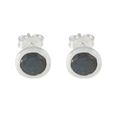 Violet Grey Stud Earrings from Violet for Everyday Glam Labradorite Gray Stud