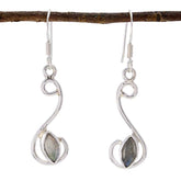 Yasmine Grey Dangle Earrings for Everyday Glam Labradorite Gray Dangle