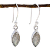 Stylish Zoey Grey Dangle Earrings for Any Occasion Labradorite Gray Dangle