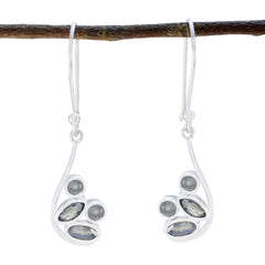 Camila Grey Delicate multiple Dangle Earring Labradorite Gray Dangle